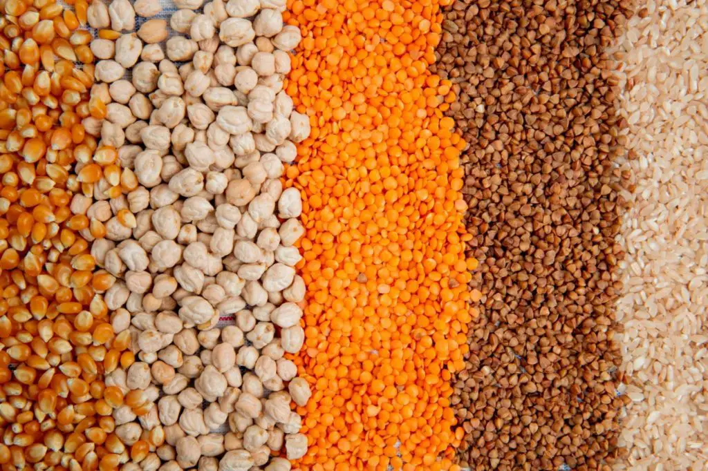 Are Lentils Keto? Myths, Facts And Substitutes About